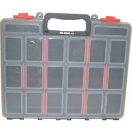 Professional Service Case