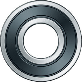 Single Row Deep Groove Ball Bearings - With Seals
