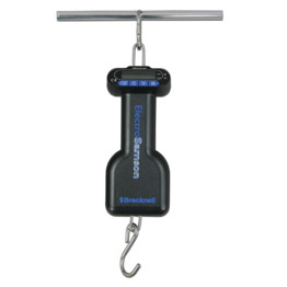 Digital Hanging Scales