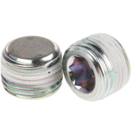 Nickel Plated Blanking Plugs